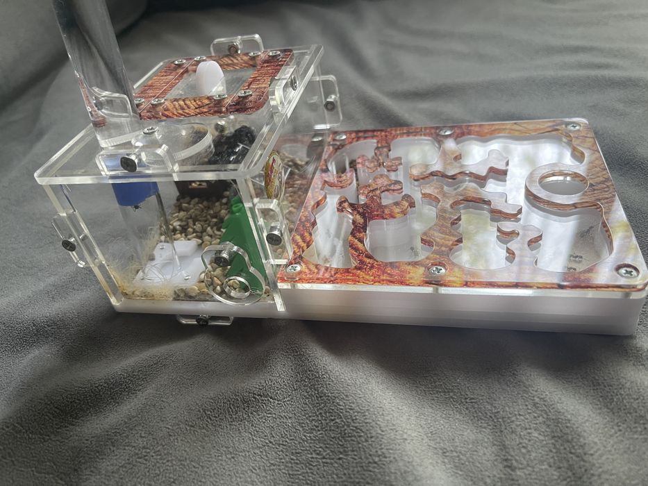 Муравьиная ферма