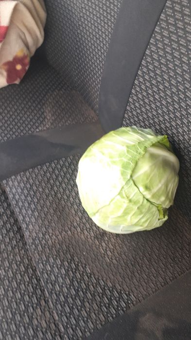 Крупный картофель