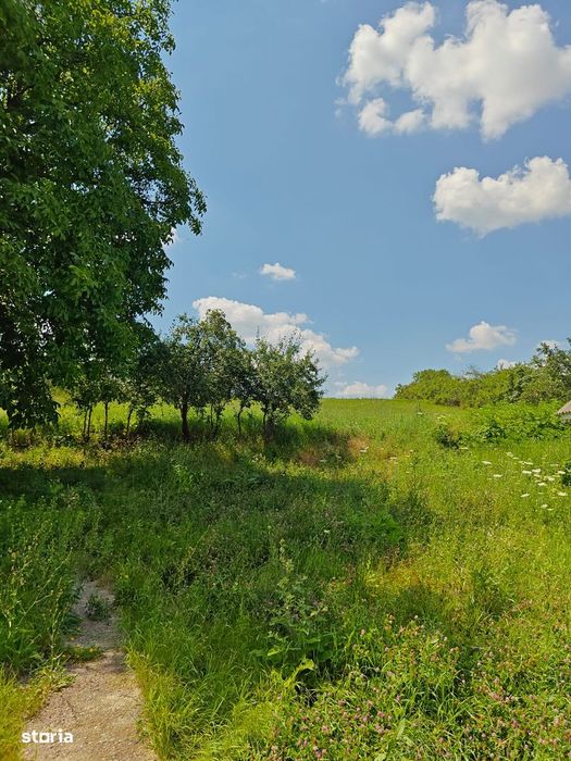 Teren cu casa bătrânească Horlești