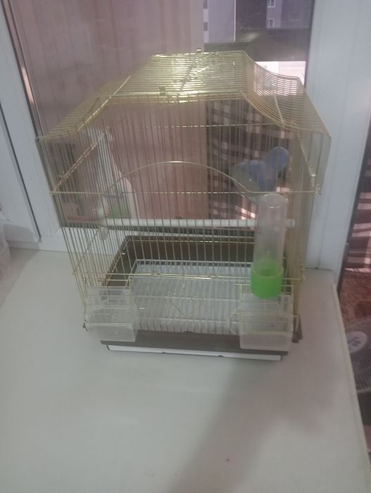 Клетка для попугаев