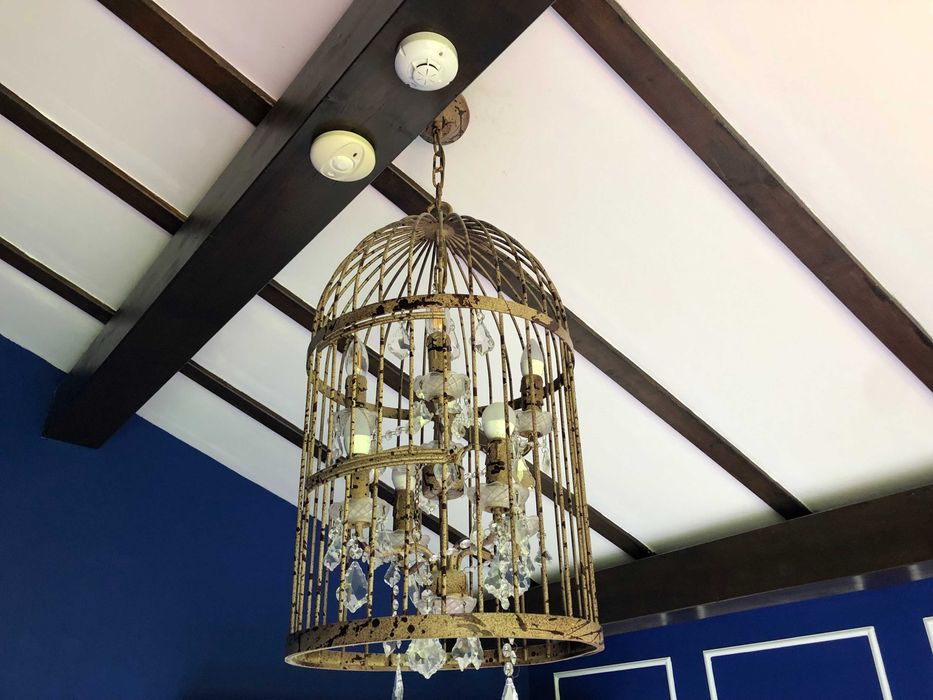 Полилей-дизайнерски Каре