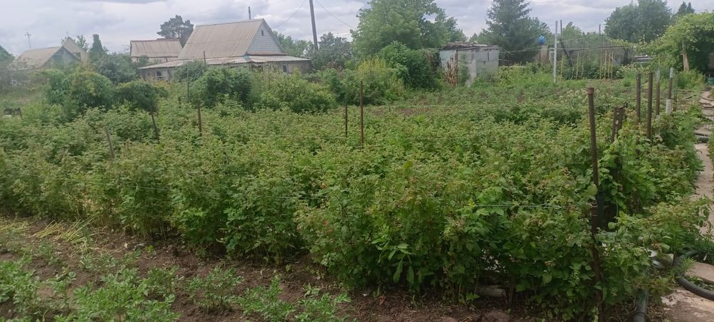Продам дачу в с/к Автобусник.