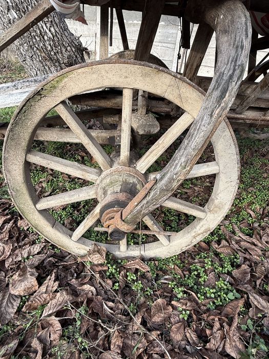 Car / caruță din lemn