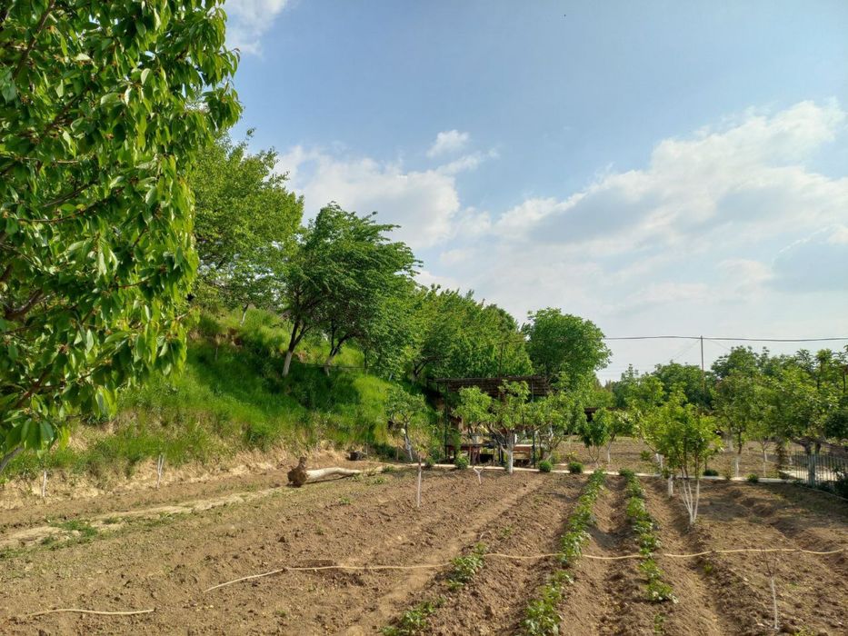 Ховли сотилади Рохатдан 18км