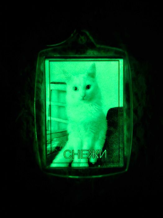 Светещ ключодържател, сувенир, подарък, снимка