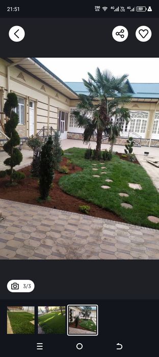 Gazon ruloni landshaft dizayni xizmatlari