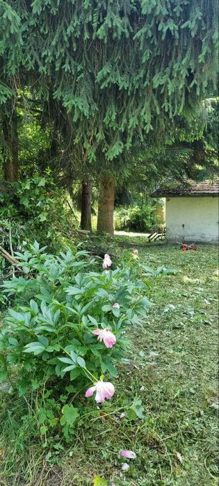 Продава се Парцел в с. Мала църква, Област София-област - 589 кв.м за 96 €/кв.м - Снимка #4