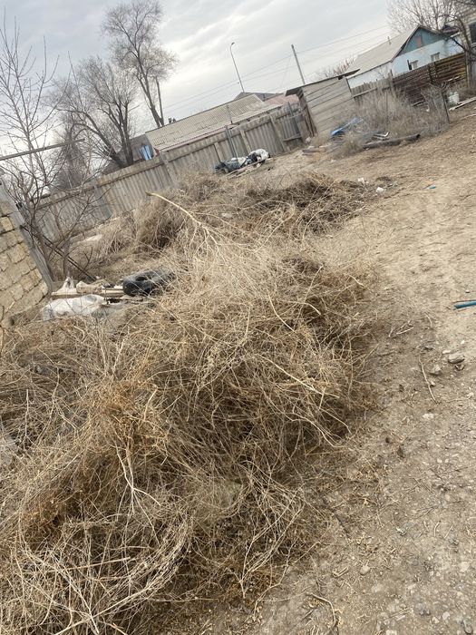 трава бесплатно в Аксае