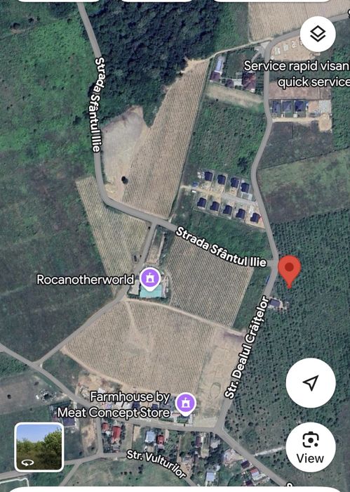 Teren Intravilan Visan Str Dealul craitelor