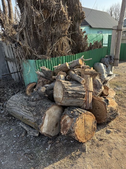 Дрова даром бесплатно