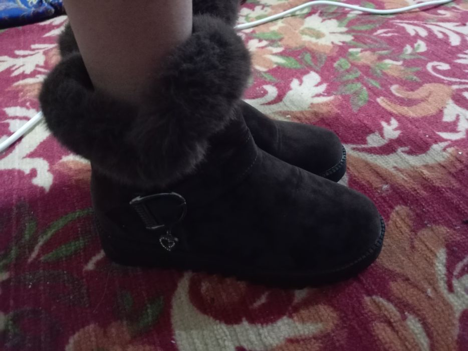 Паспорт пен болад