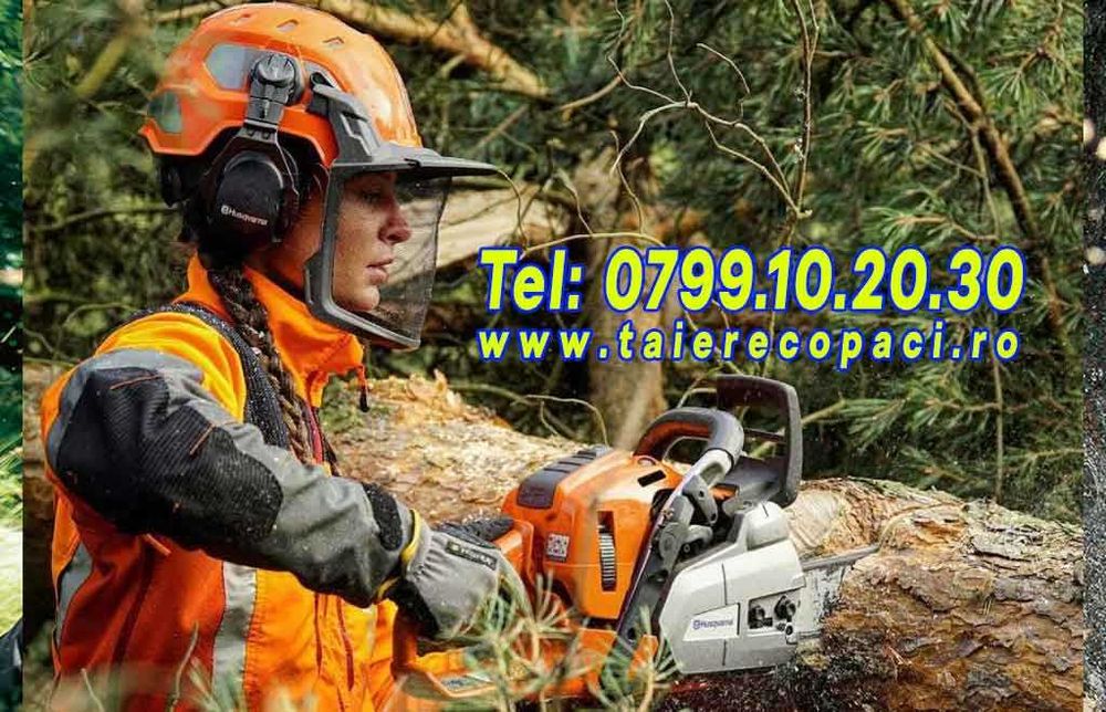 Taiere copaci, toaletare Ilfov, brad, nuc, tei, cires plop evacuare