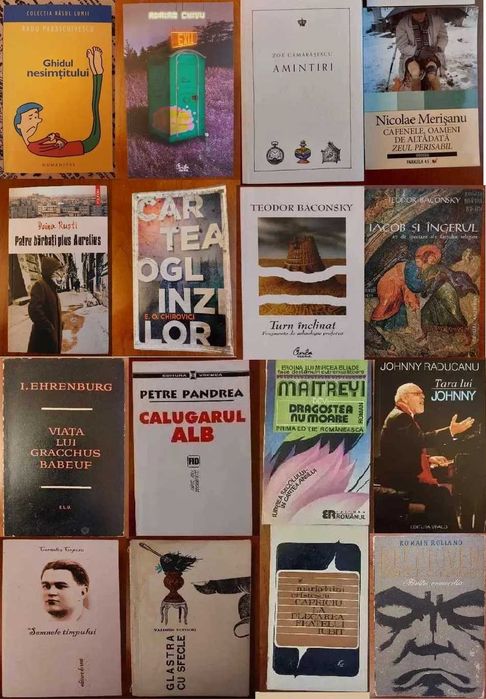 Proza/memorii romani/straini: Coposu Johnny Raducanu Doina Rusti etc