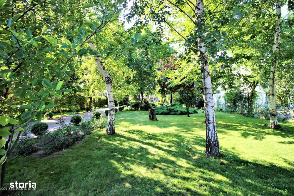 Buftea teren pe colt cu dubla deschidere 500 mp AConstruire P+E