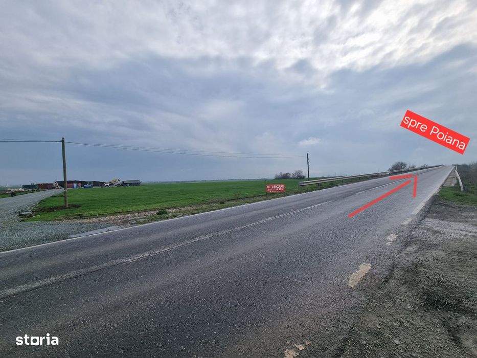 Teren zona hale Ovidiu