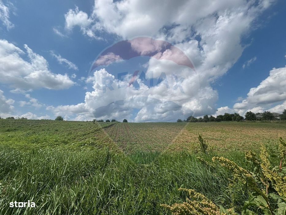 Teren 4,600mp com. Pancesti, jud Bacău