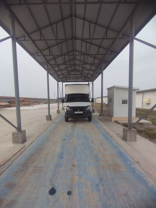 Gazel yuk boʻrt Tent