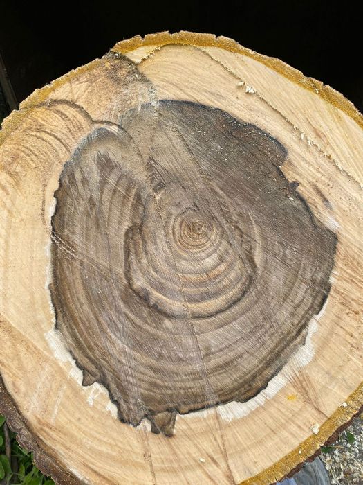 продам грецкий орех древесина