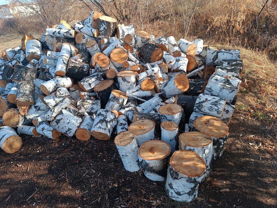Продам  дрова береза
