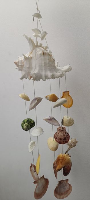 "Carusel" de scoici naturale  super frumoase