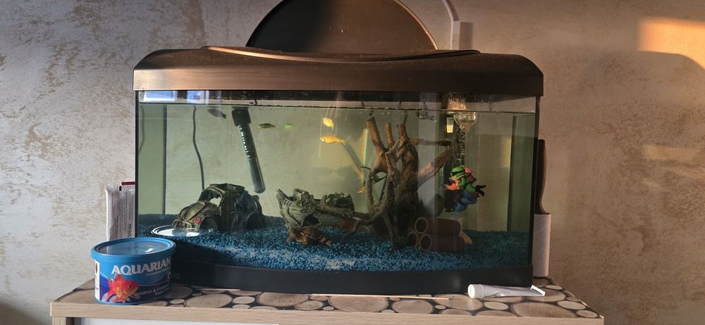 Acvariu cu pesti și accesori