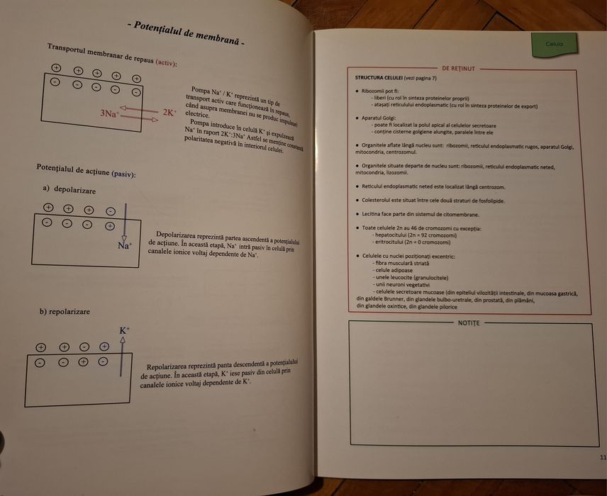 Materiale pentru admitere umfcd