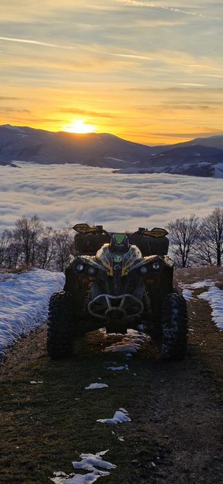 Can am renegade 500