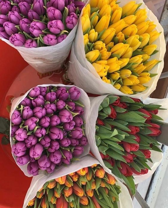 Покупай цветы тюльпаны почти бесплатно