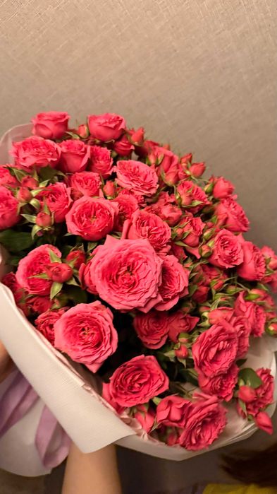 Спрей роза, Кутовая Роза