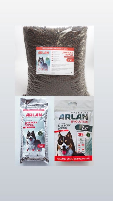 Корм для собак и кошек