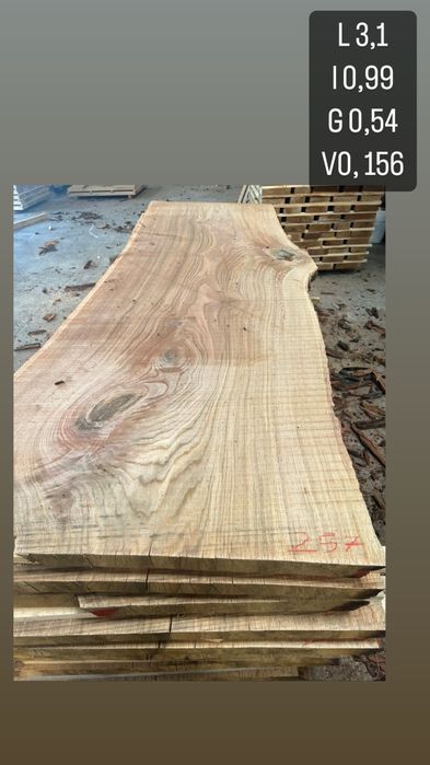 Felii, blaturi esente diferite