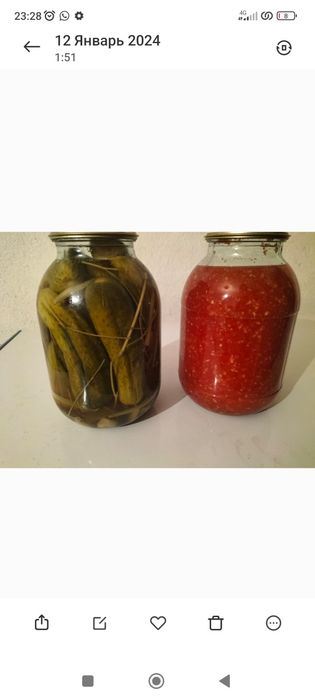 Банки на зиму. Домашние