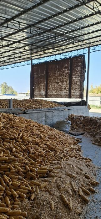 Корм для животных