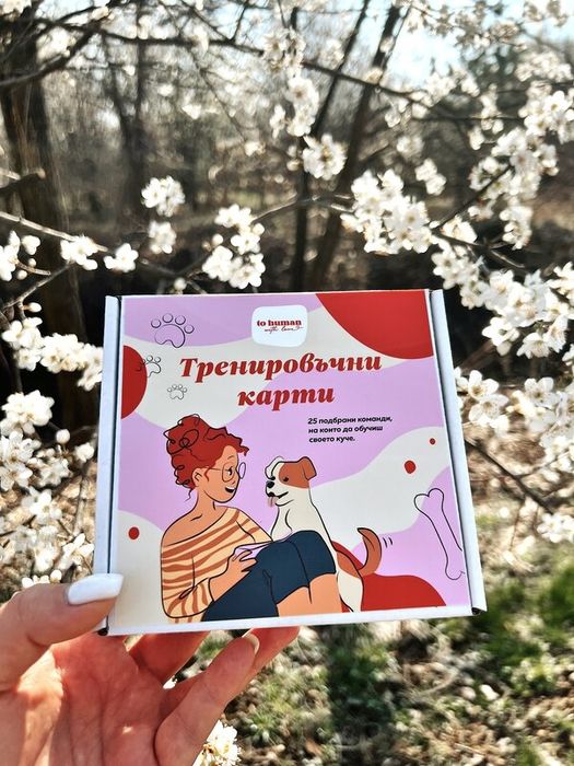 Тренировъчни карти за куче