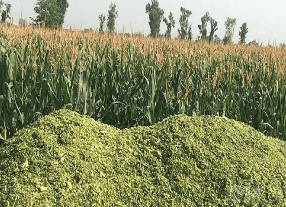 selos optom silos yem makka