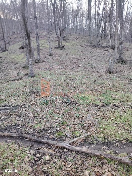 Teren intravilan zona Monteoru