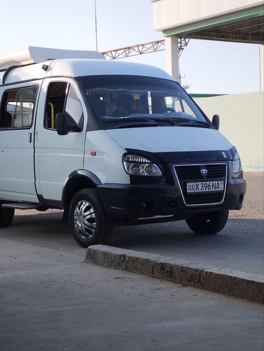 Gazel tayyor oq rang