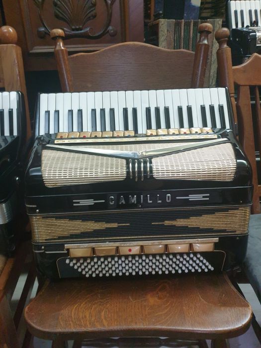 Vand acordeon Camillo