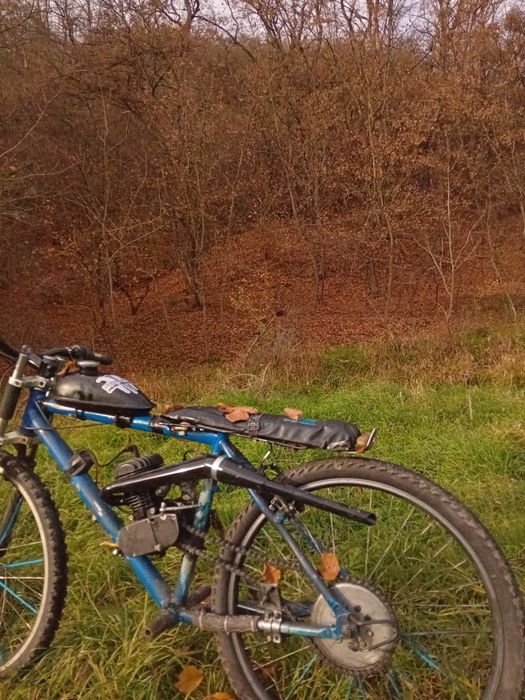 Vand bicicleta cu motor 100cc 2t