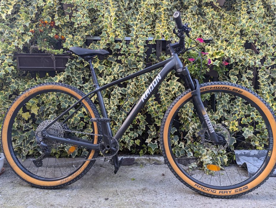 Radon Jealous Al. 2021 M