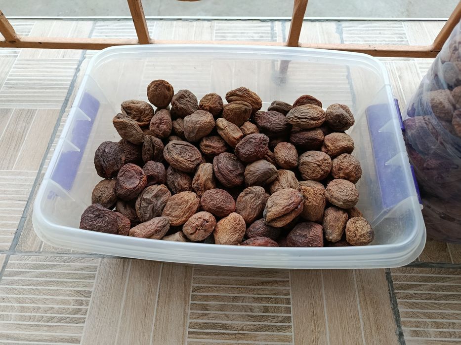 Субхон орикни турщаги