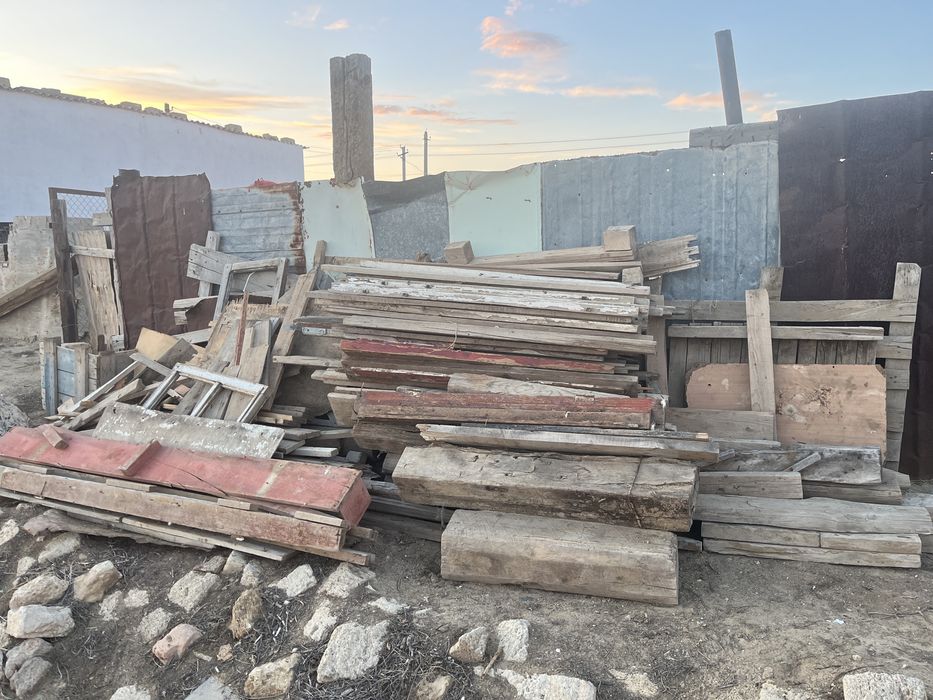 Отын агаштар тегын