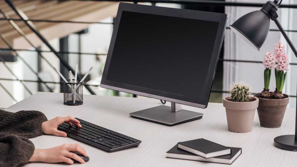 Кактус  рядом с монитором