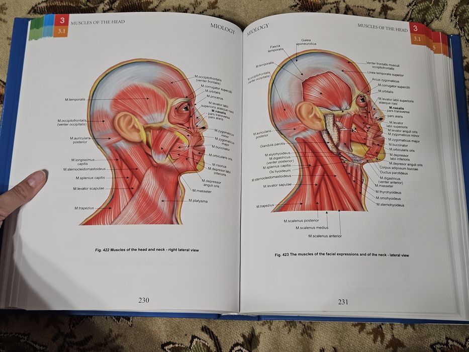 Atlase de anatomie Zanoschi