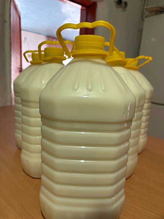 Қымыз/кумыс. 1 литр- 1200тг