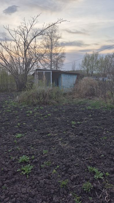 Продам дачу в с/о Ромашка