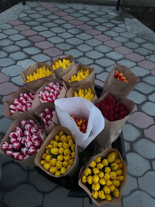 Самые красивые тюлпаны в жаркенте