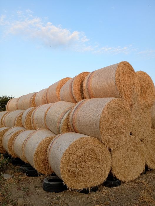 Бали пожъната люцерна 120/120