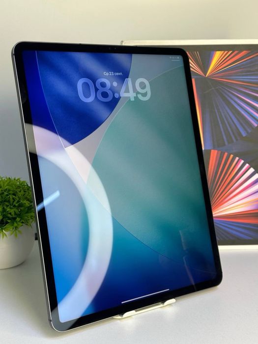 Ipad pro 12.9inch /128gb/akb 89%/(1)