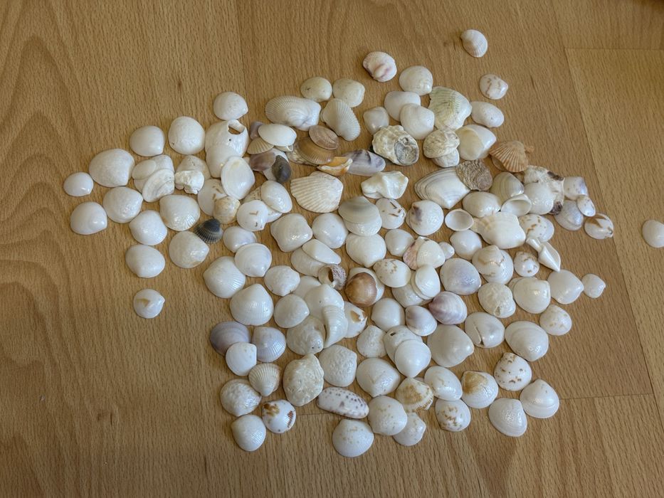 Ракушка для аквариума или подделок